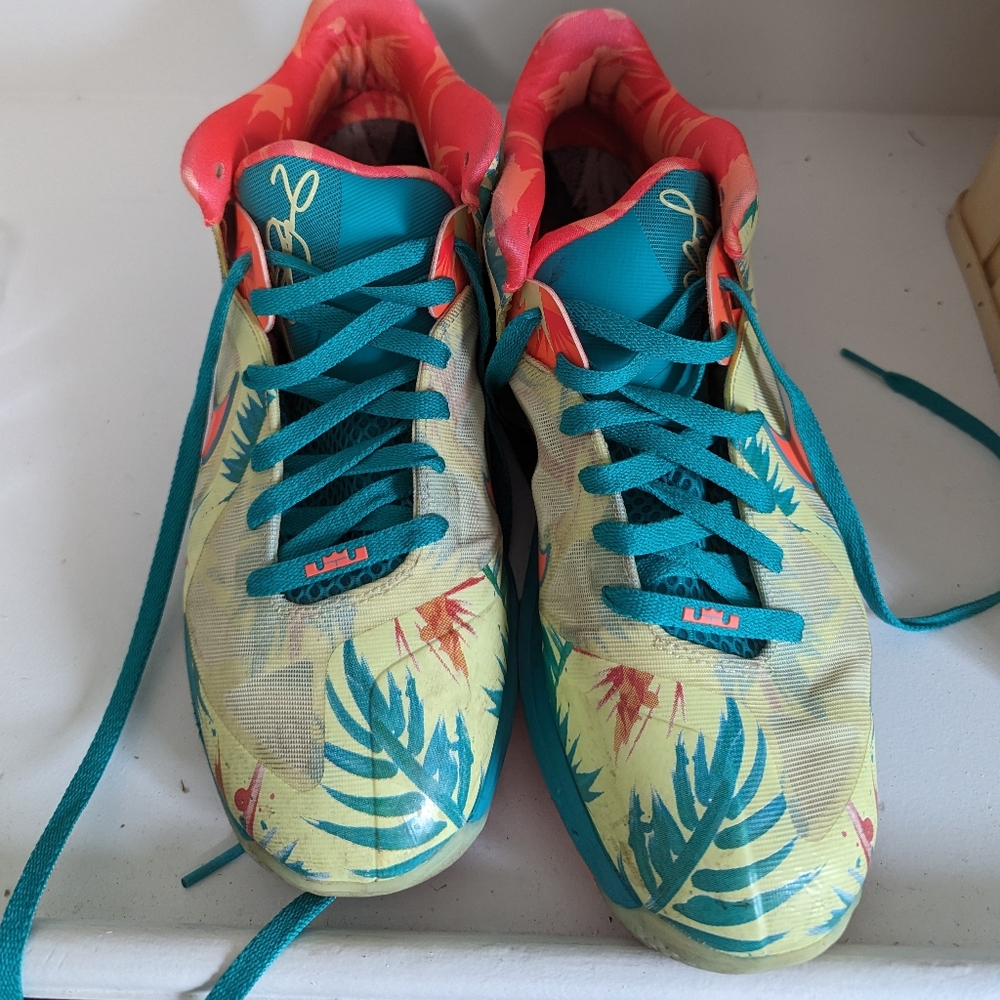 Nike Lebron IX Low Lebronald Palmers